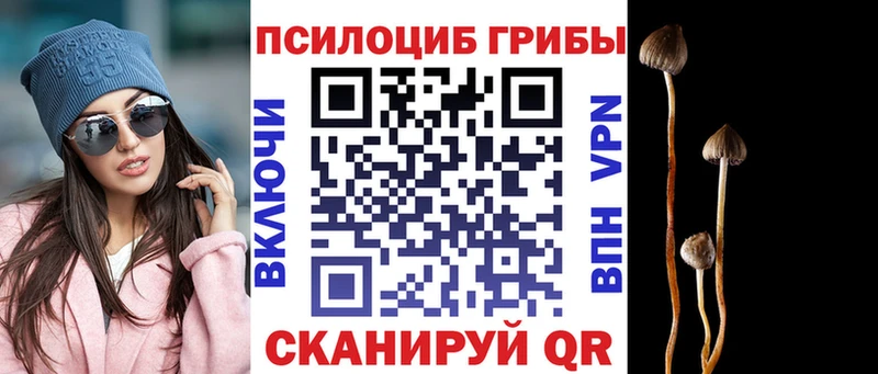 blacksprut вход Верхнеуральск Галлюциногенные грибы Cubensis